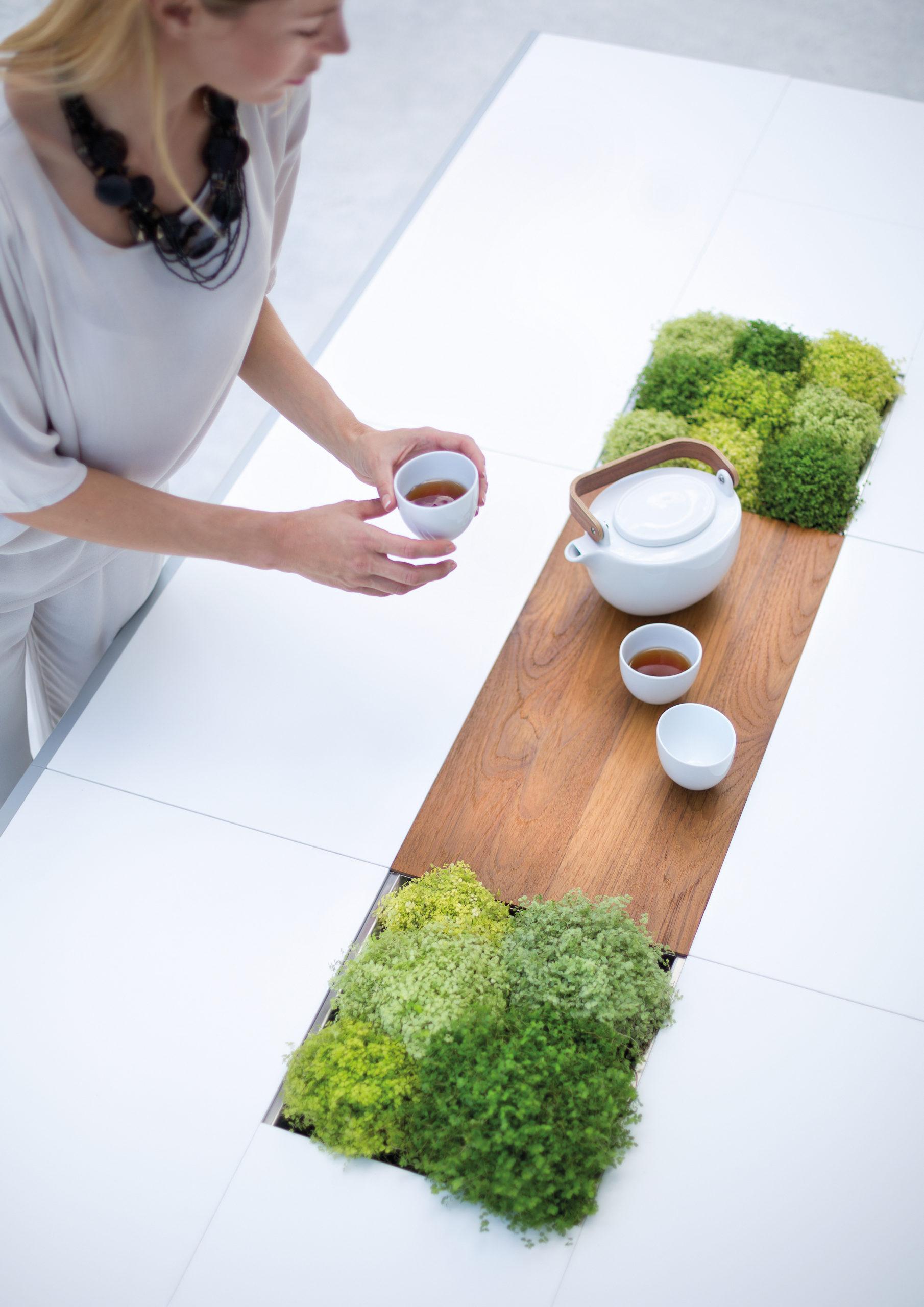 table de jardin